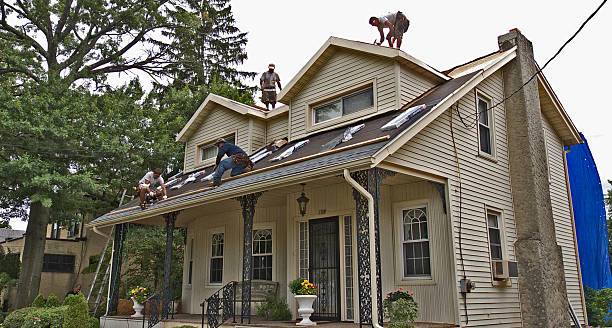 Best Storm Damage Roof Repair  in Hallettsville, TX