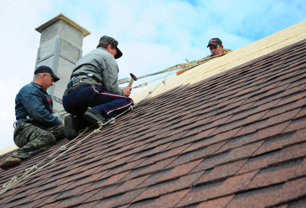 Best Metal Roofing Contractor  in Hallettsville, TX